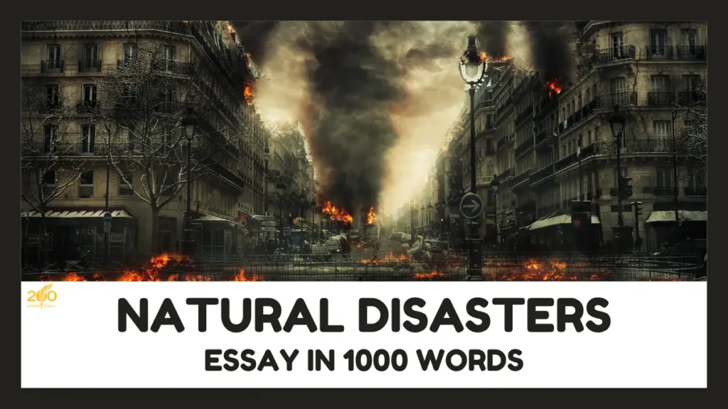 Natural Disasters Essay In 1000 Words